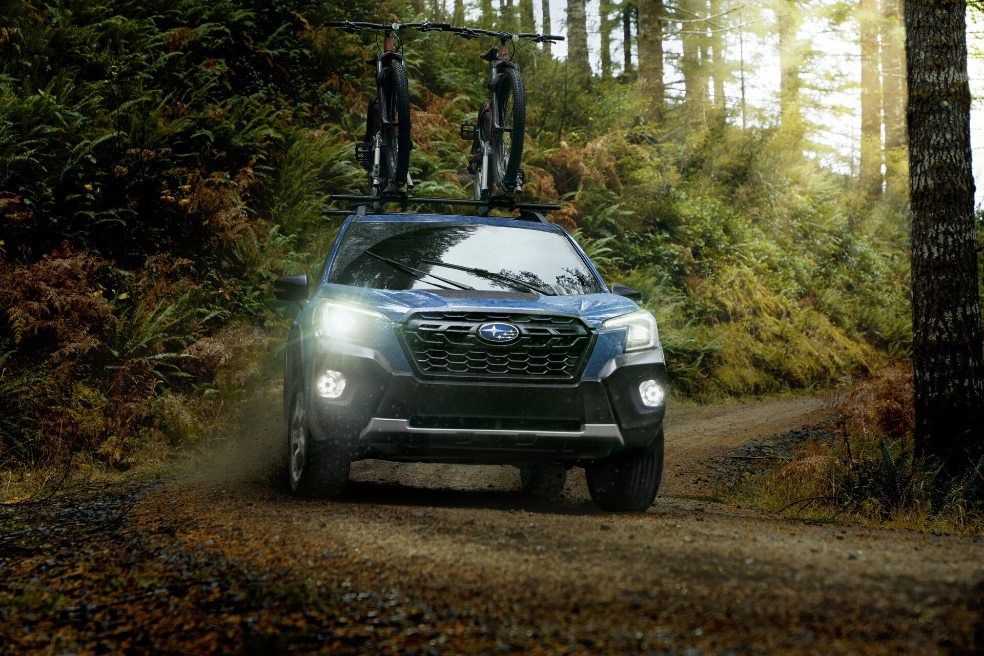 Subaru Forester Wilderness: клиренс 234 мм и укороченная главная пара