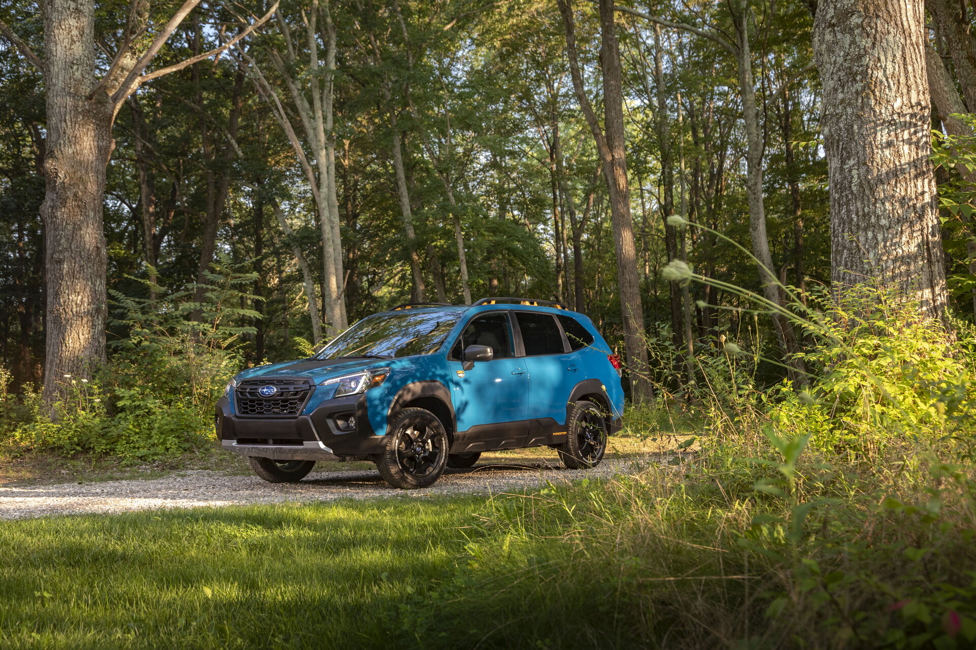 Subaru Forester Wilderness: клиренс 234 мм и укороченная главная пара