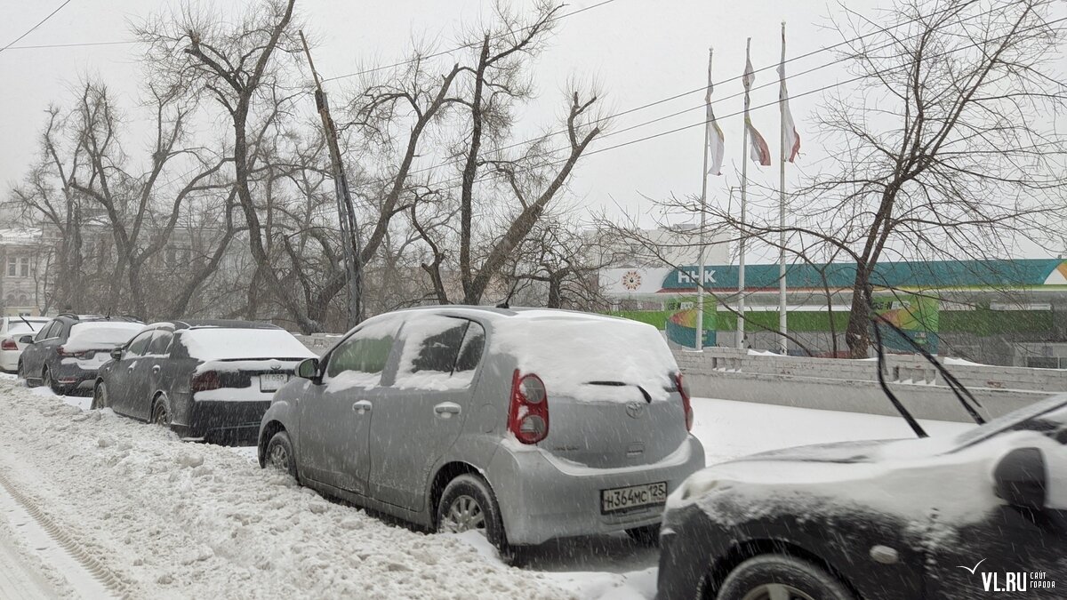 Владивосток заваливает снегом (ФОТО, ВИДЕО)