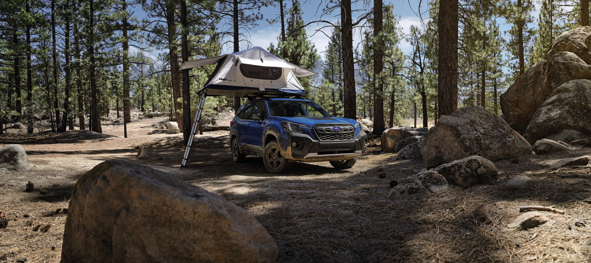 Subaru Forester Wilderness: клиренс 234 мм и укороченная главная пара