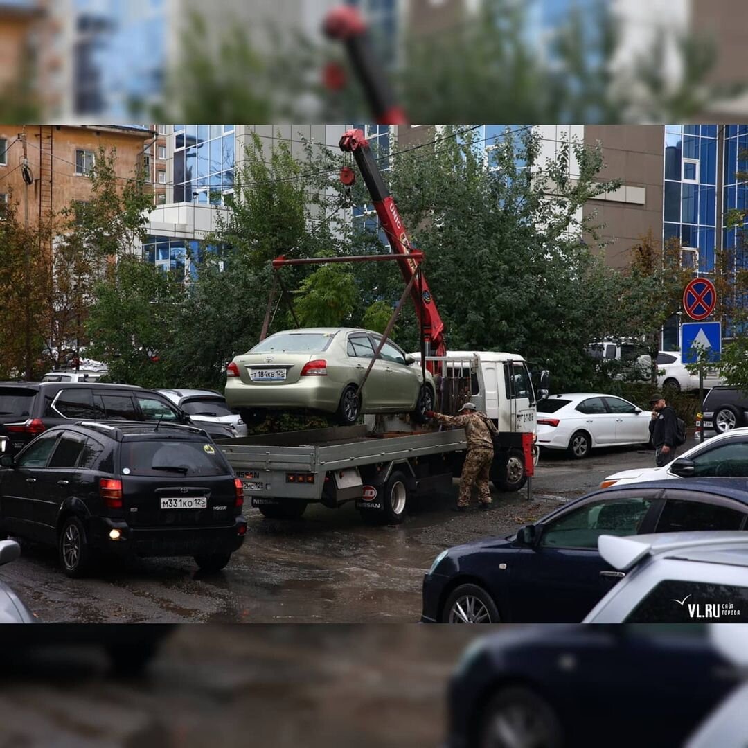 Свежие топляки принесли осенние ливни во Владивосток: ФОТО и ВИДЕО