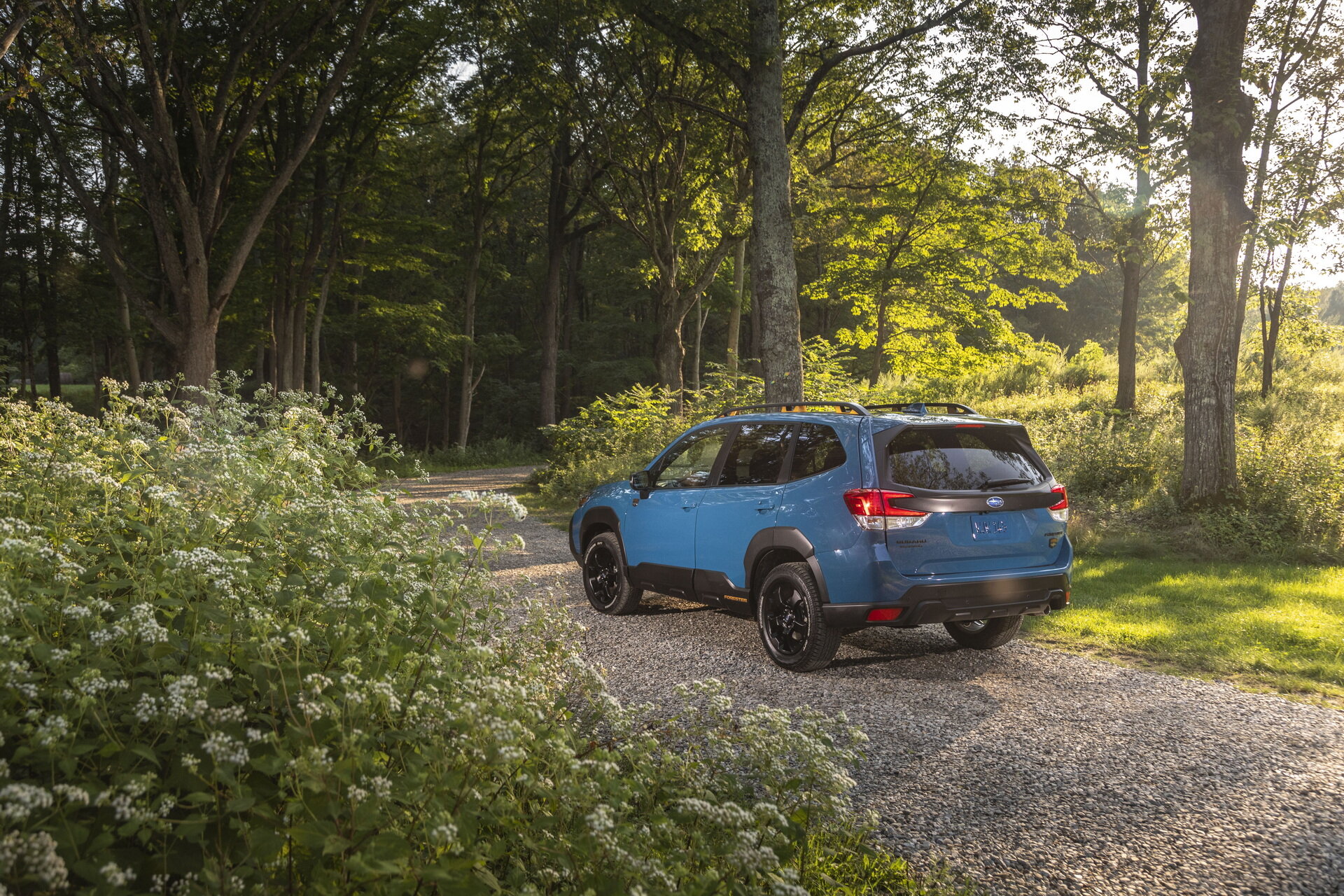 Subaru Forester Wilderness: клиренс 234 мм и укороченная главная пара