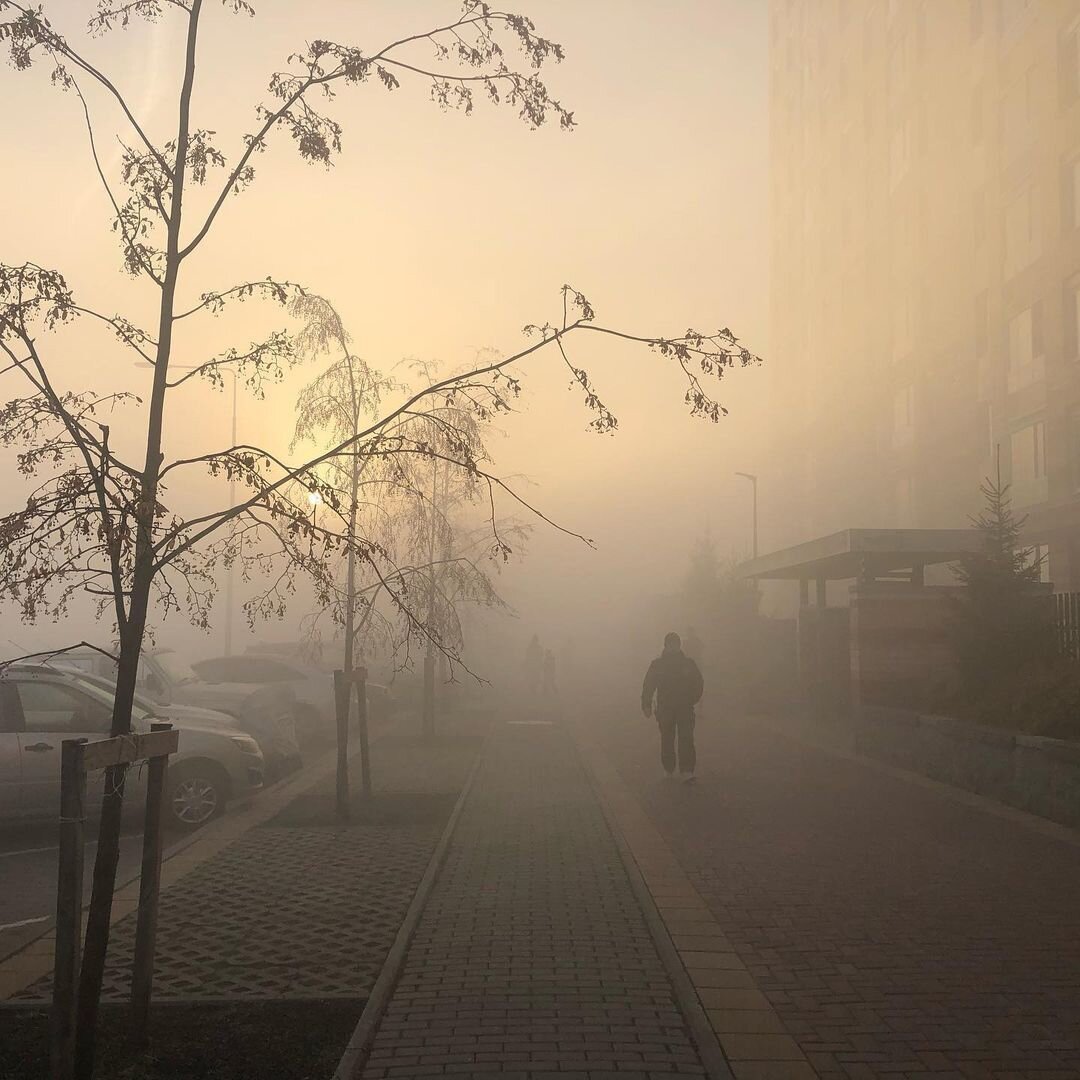 Екатеринбург затянуло густым дымом, кольцевую трассу перекрыли (ВИДЕО)