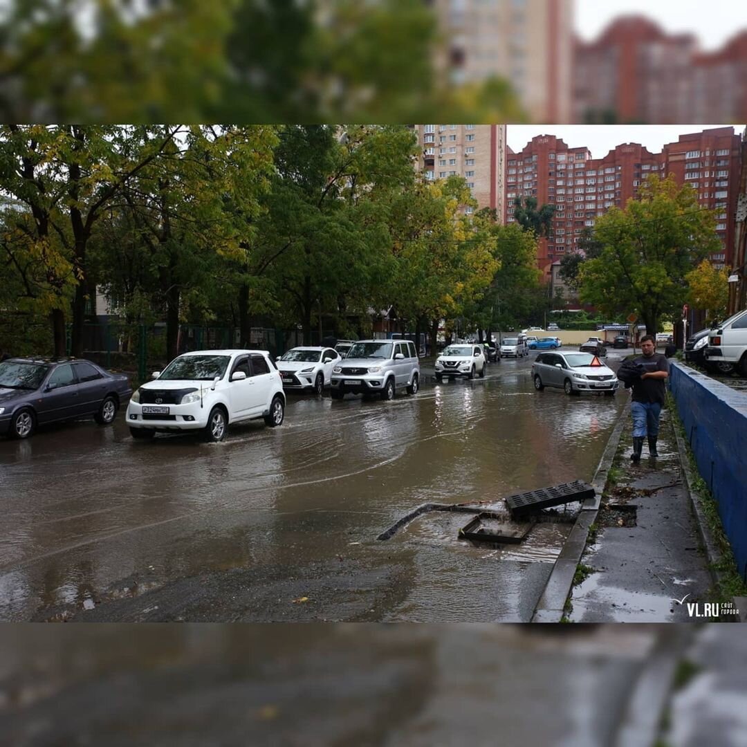 Свежие топляки принесли осенние ливни во Владивосток: ФОТО и ВИДЕО