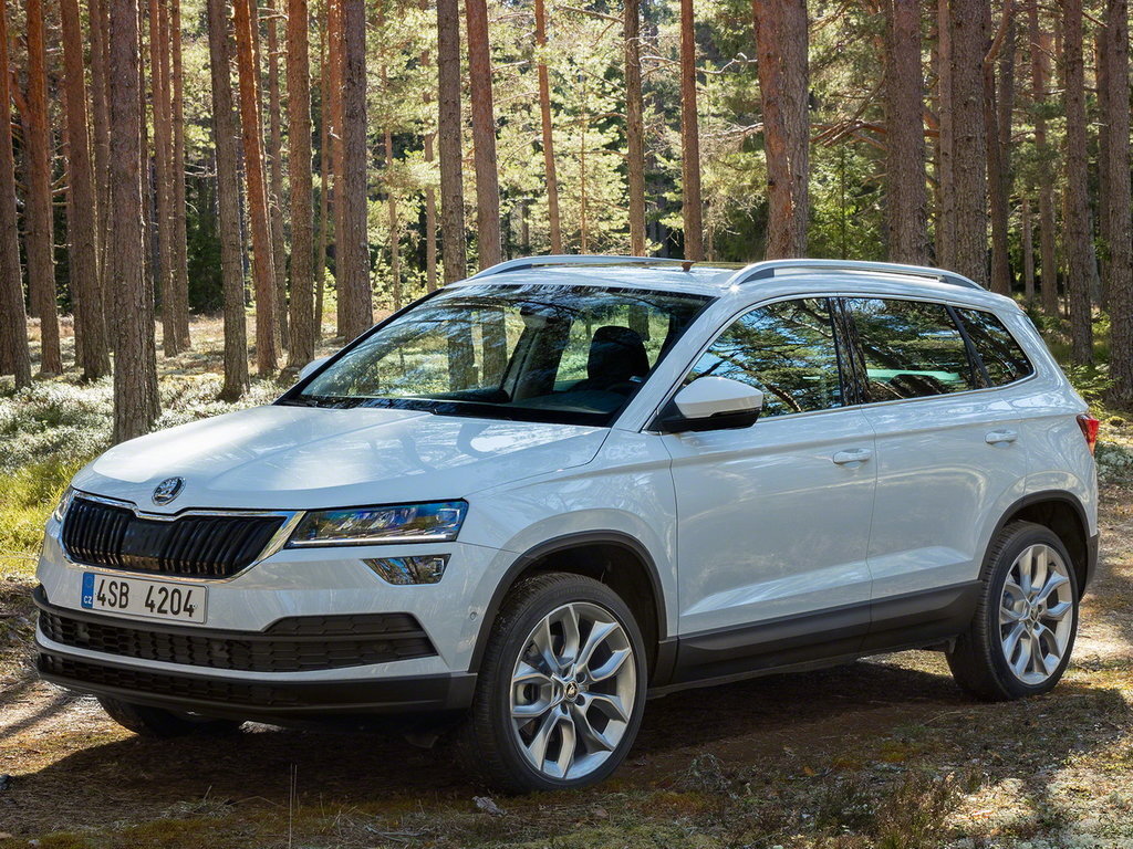 Skoda Karoq попала под отзыв в России из-за дефекта боковых подушек безопасности